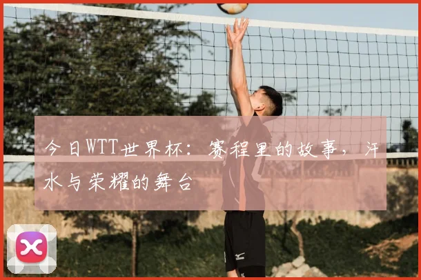 今日WTT世界杯:赛程里的故事,汗水与荣耀的舞台