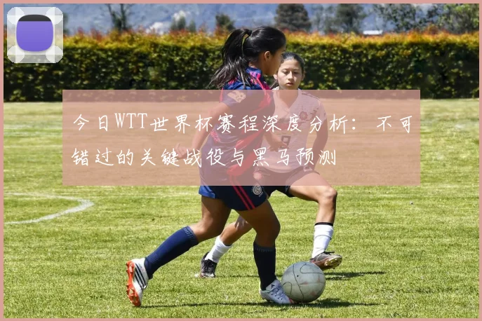 今日WTT世界杯赛程深度分析：不可错过的关键战役与黑马预测