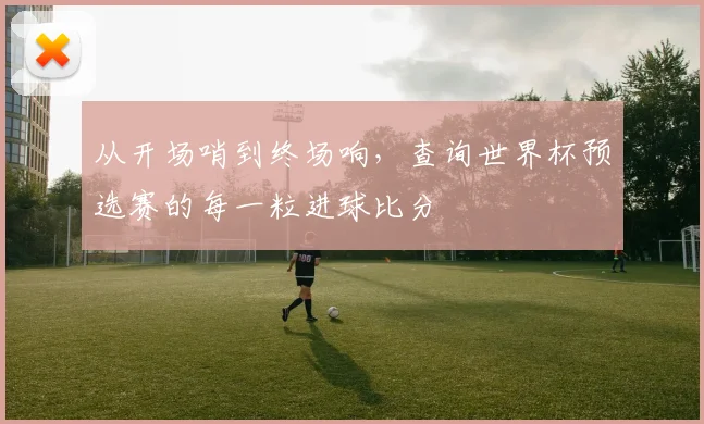从开场哨到终场响，查询世界杯预选赛的每一粒进球比分