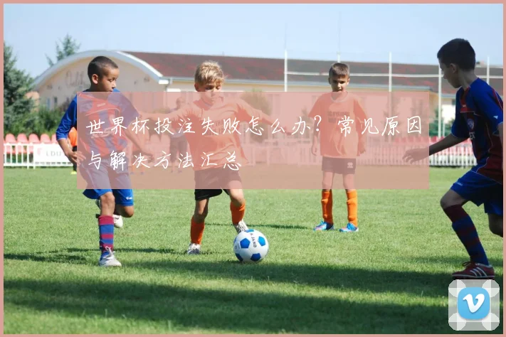世界杯投注失败怎么办?常见原因与解决方法汇总