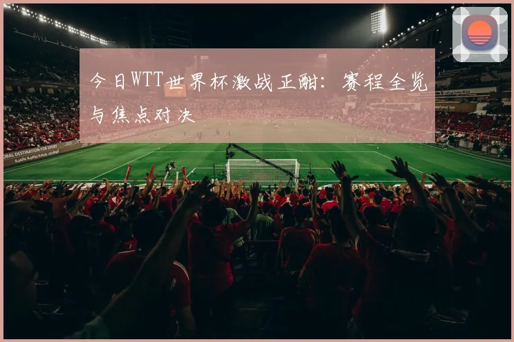 今日WTT世界杯激战正酣：赛程全览与焦点对决