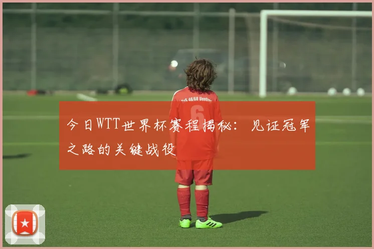 今日WTT世界杯赛程揭秘：见证冠军之路的关键战役