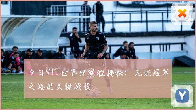 今日WTT世界杯赛程揭秘：见证冠军之路的关键战役