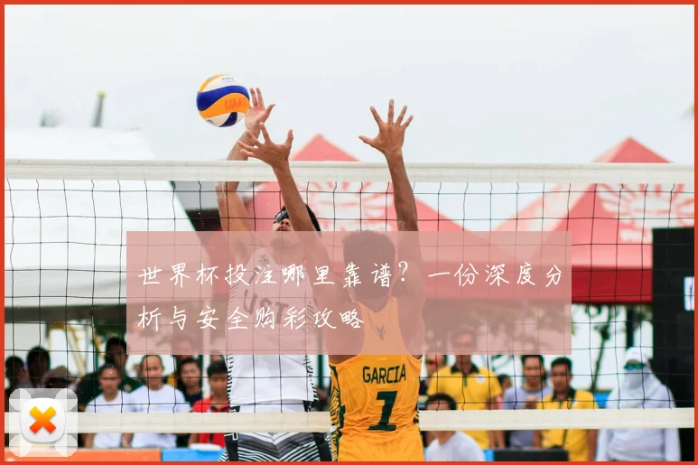 世界杯投注哪里靠谱?一份深度分析与安全购彩攻略