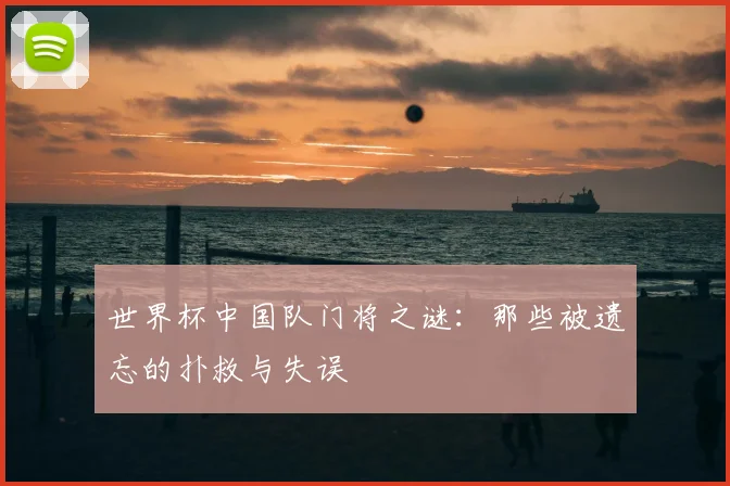 世界杯中国队门将之谜:那些被遗忘的扑救与失误