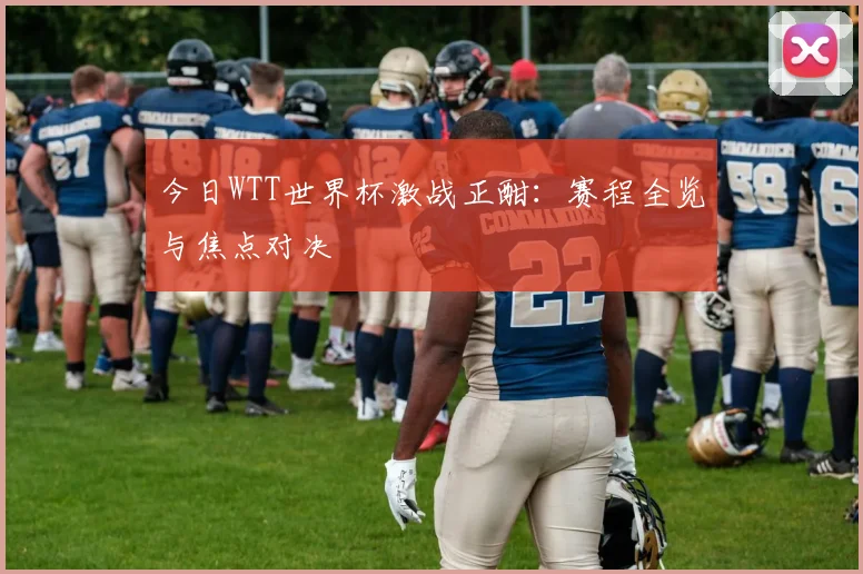 今日WTT世界杯激战正酣：赛程全览与焦点对决