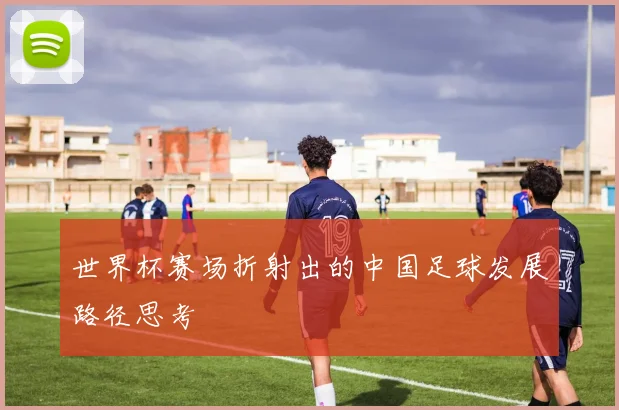 世界杯赛场折射出的中国足球发展路径思考