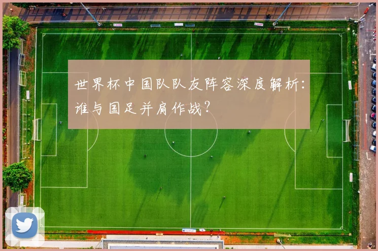 世界杯中国队队友阵容深度解析:谁与国足并肩作战?