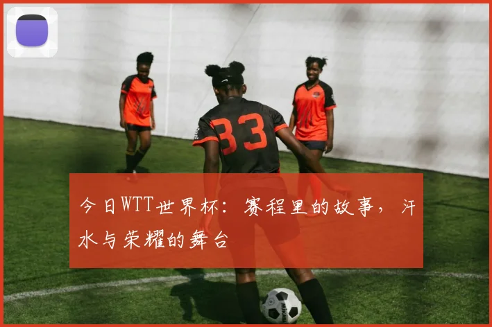 今日WTT世界杯:赛程里的故事,汗水与荣耀的舞台